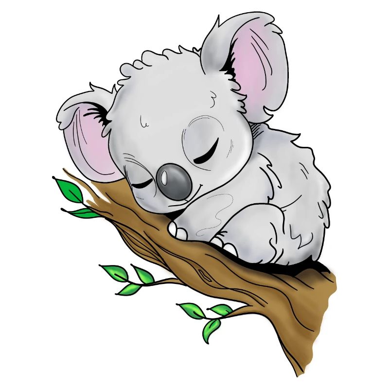 Schlafendes Koala
