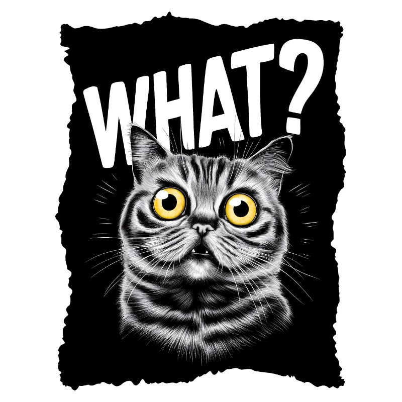 Cat - What?