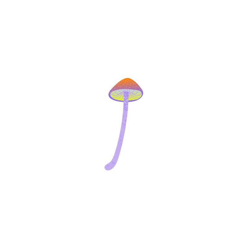 Magic mushroom