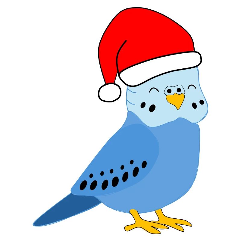 Noël - Perruche bleue festive
