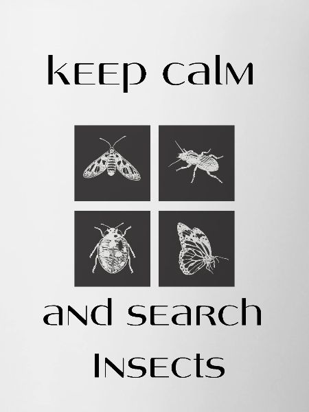 keep calm insects