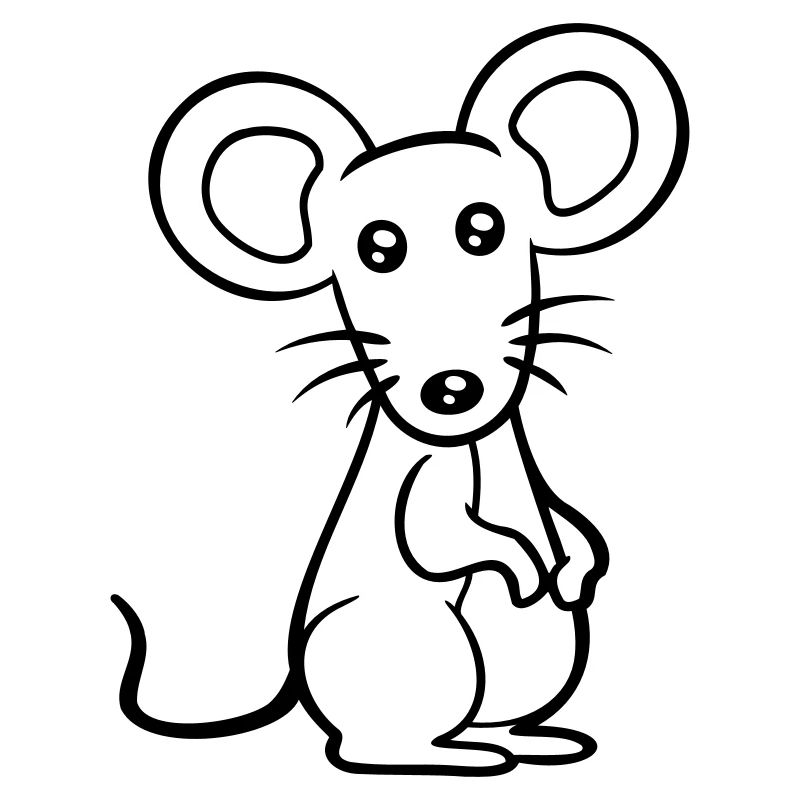 souris souris mignon petit rat rongeur amical