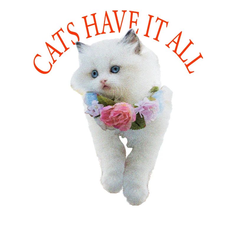 Sassy Cat