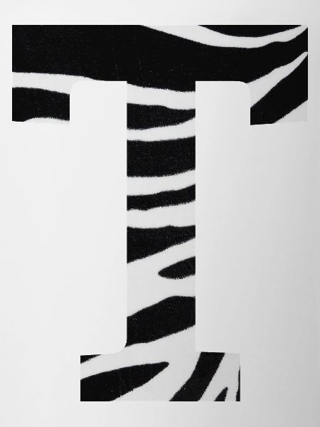 Lettre t zèbre