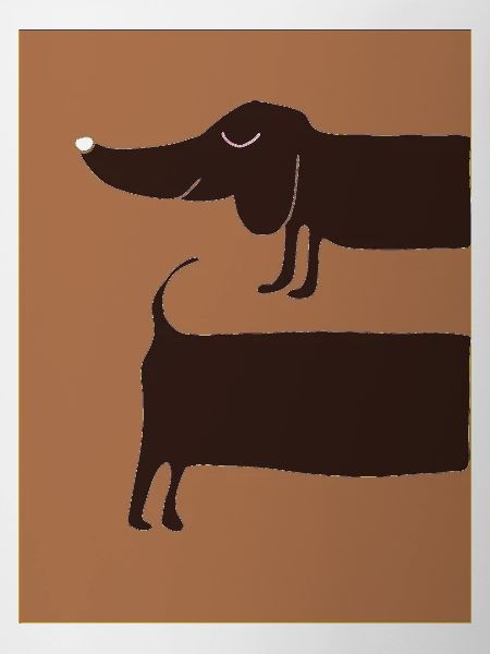 Dachshund dog at night
