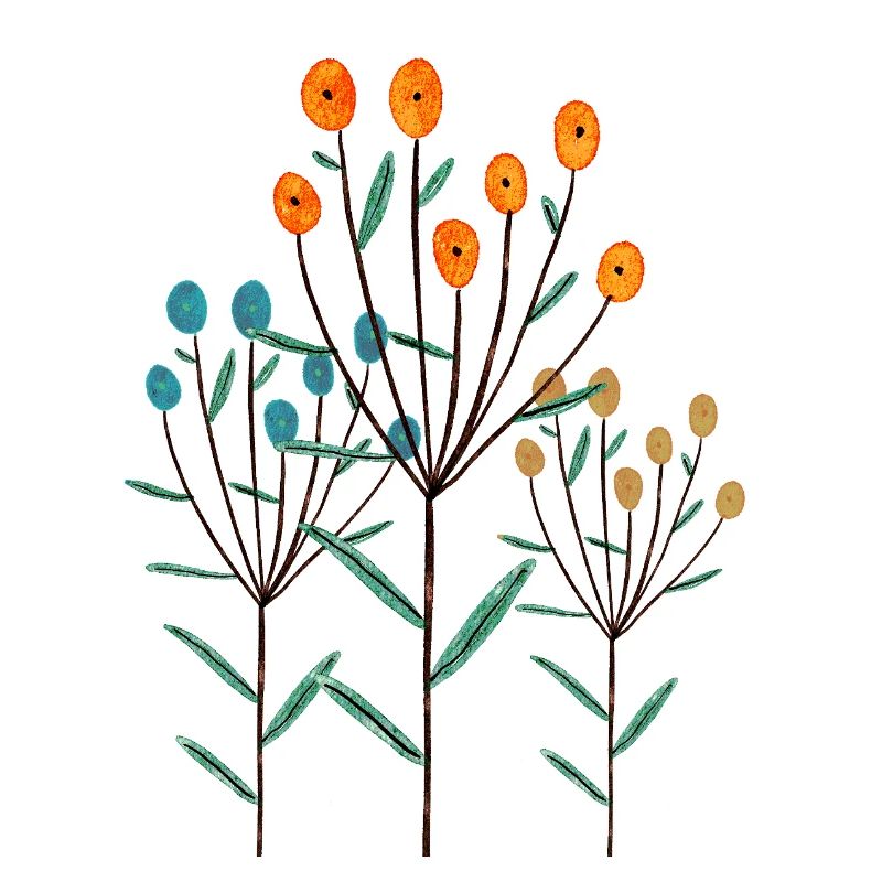 Plants
