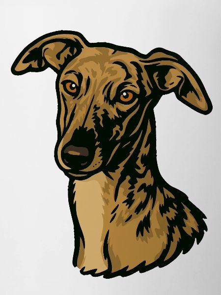 Galgo Español – Pride & Beauty