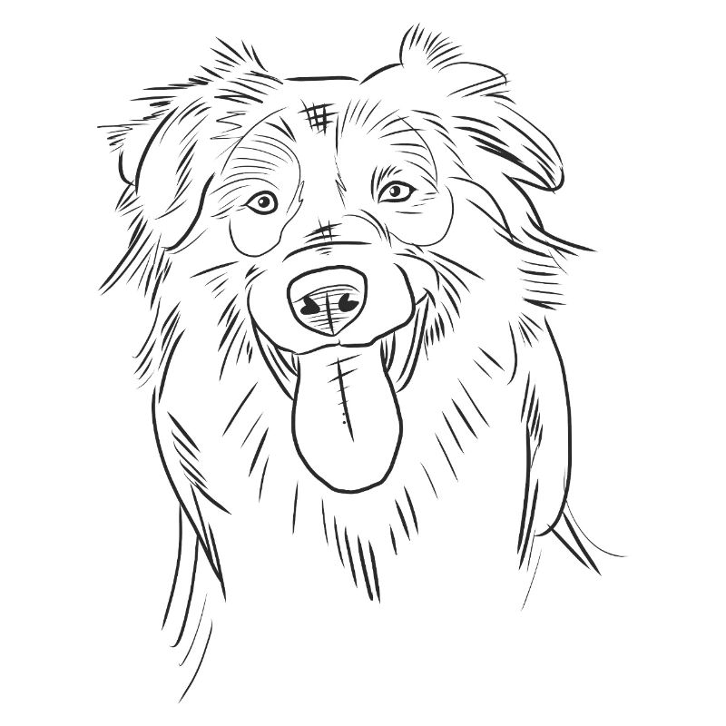 Funny Australian Shepherd Aussie Sketch Line Art 
