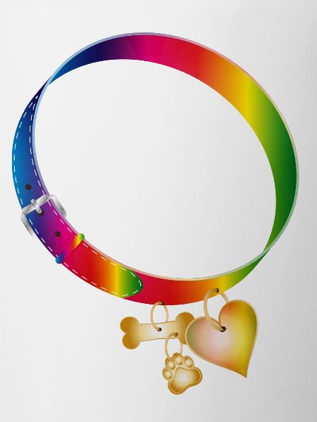 Rainbow Dog Collar Motif with Pendants