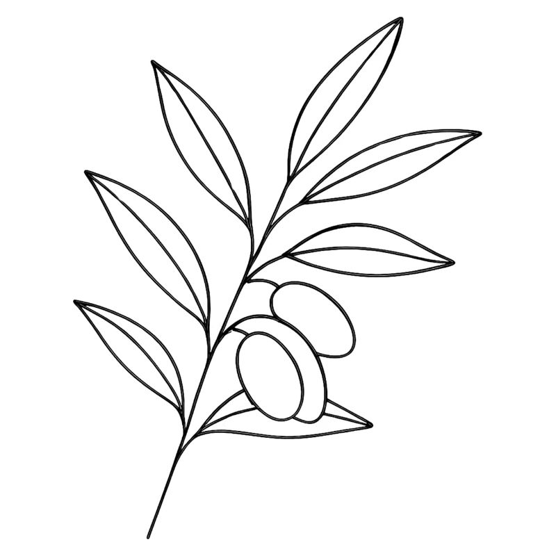 Olive Branch Line Art