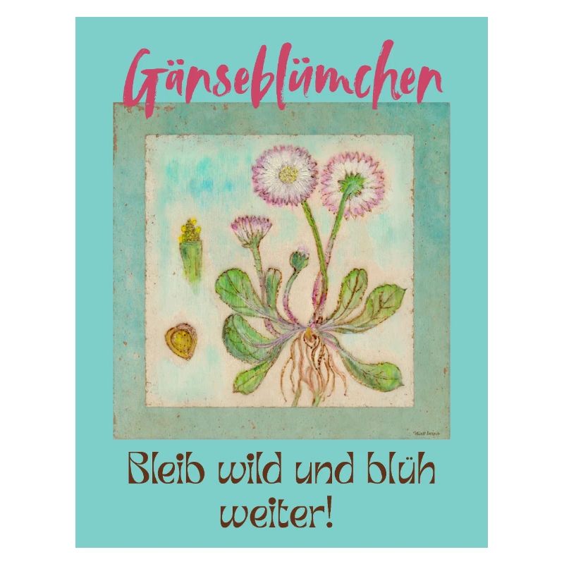 Gänseblümchen Wildblumen Print
