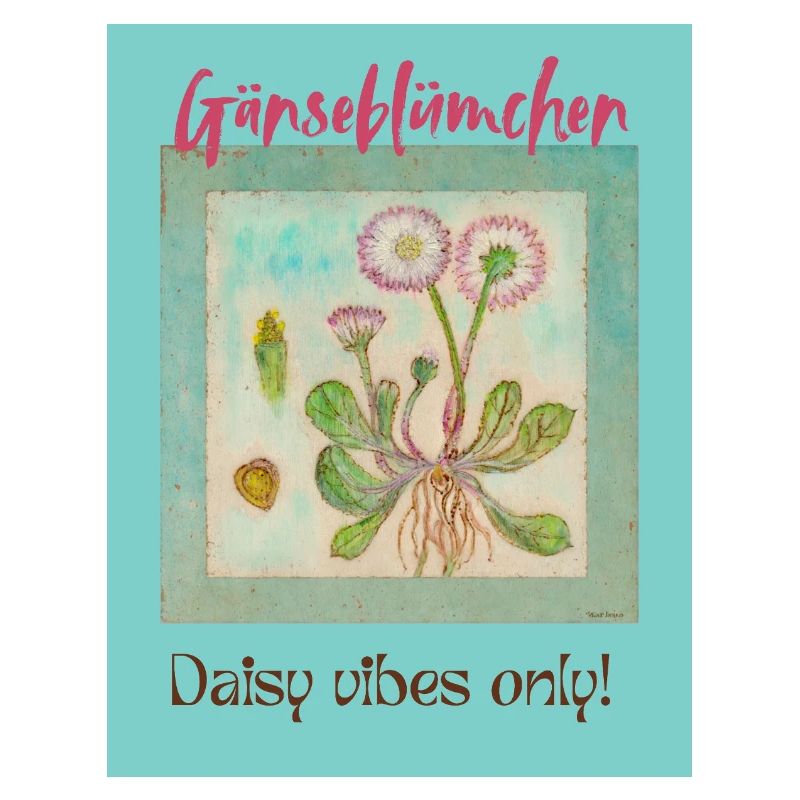 Daisy Vibes