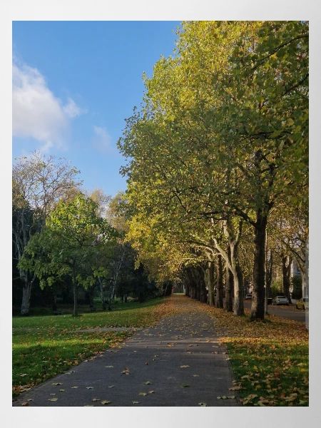 Autumn path through Lauballee