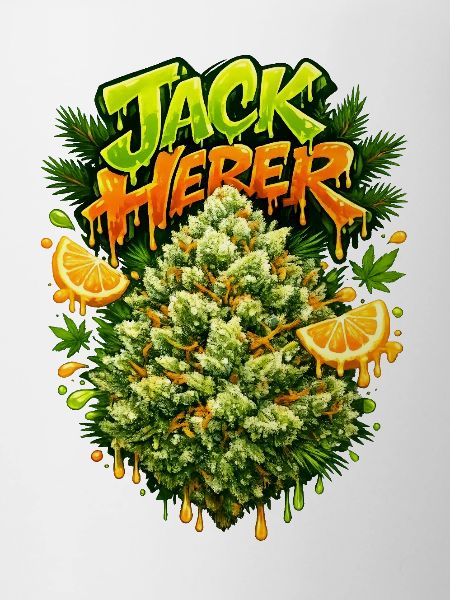 Jack Herer Pine Citrus Graffiti Print 
