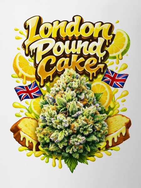London Pound Cake Graffiti Print