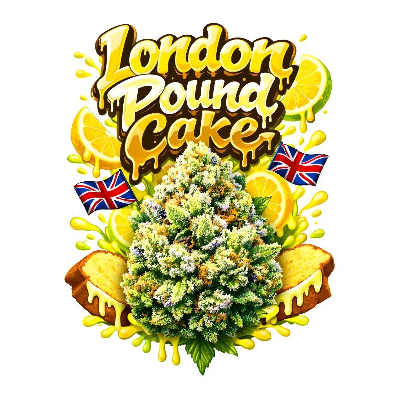 London Pound Cake Graffiti-Druck