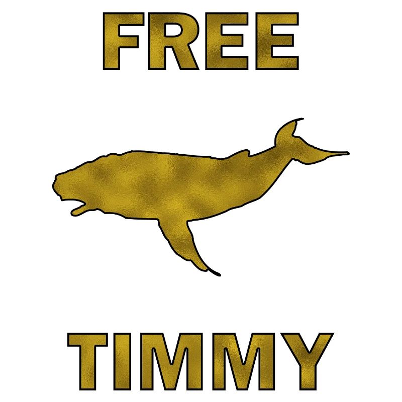 Baleine à bosse Timmy