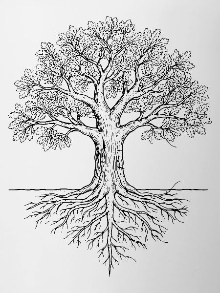 Eichenbaum-Illustration T-Shirt