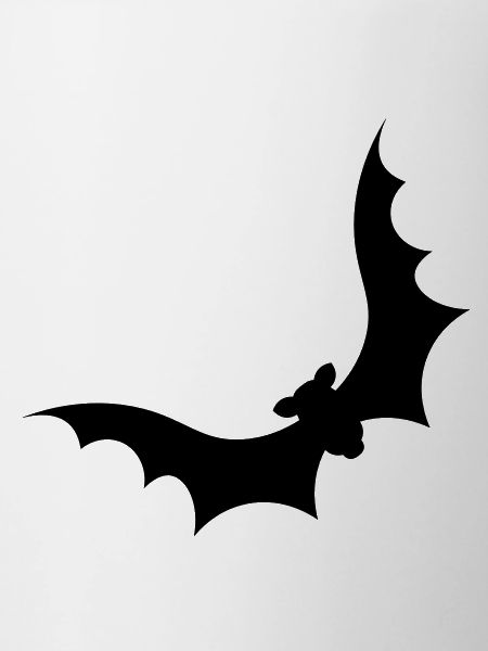 Bat with big wings