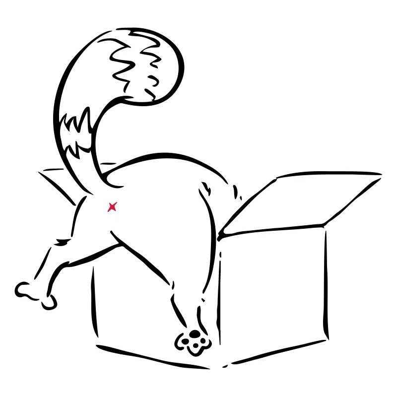Cat in a Box Katze No Nein Mittelfinger lustig