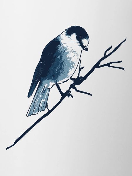 Sparrow on branch