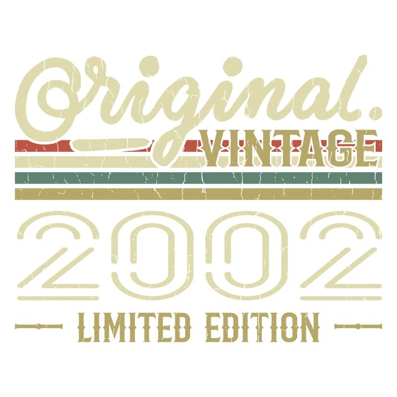 2002 Retro Birthday 2002 Original 2002 Vintage