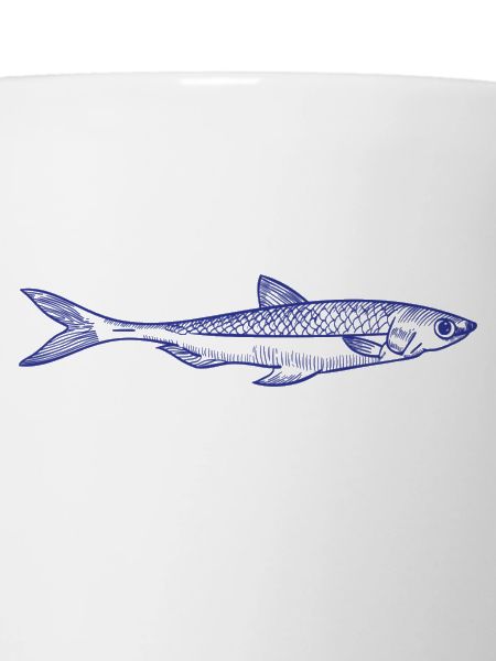 Poisson