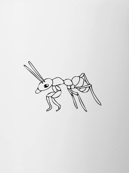Ant - drawing