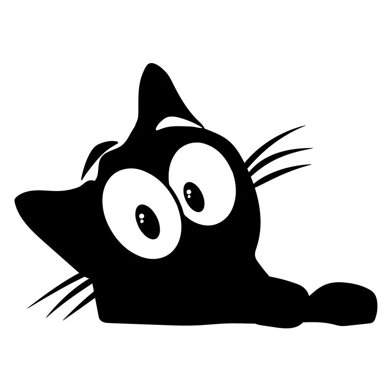 Chat noir 13 chat