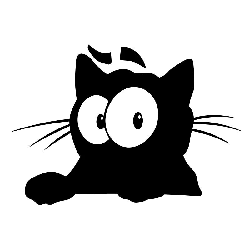 Black Cat 6 cat