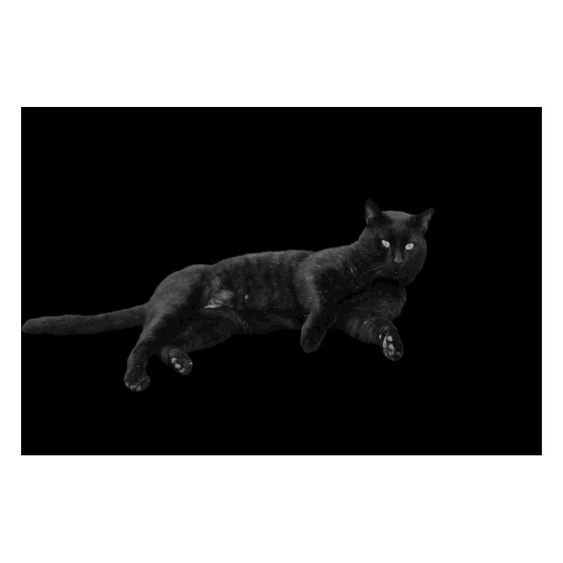 Chat noir Chat Chat Noir Chat Cadeau