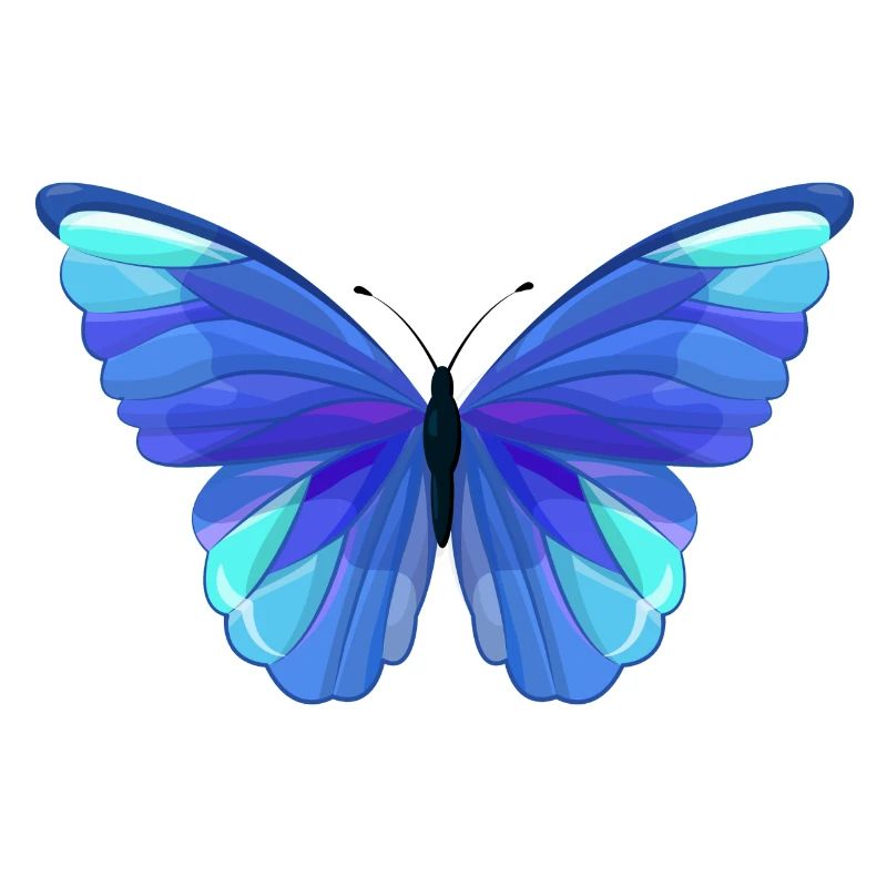 Schmetterling