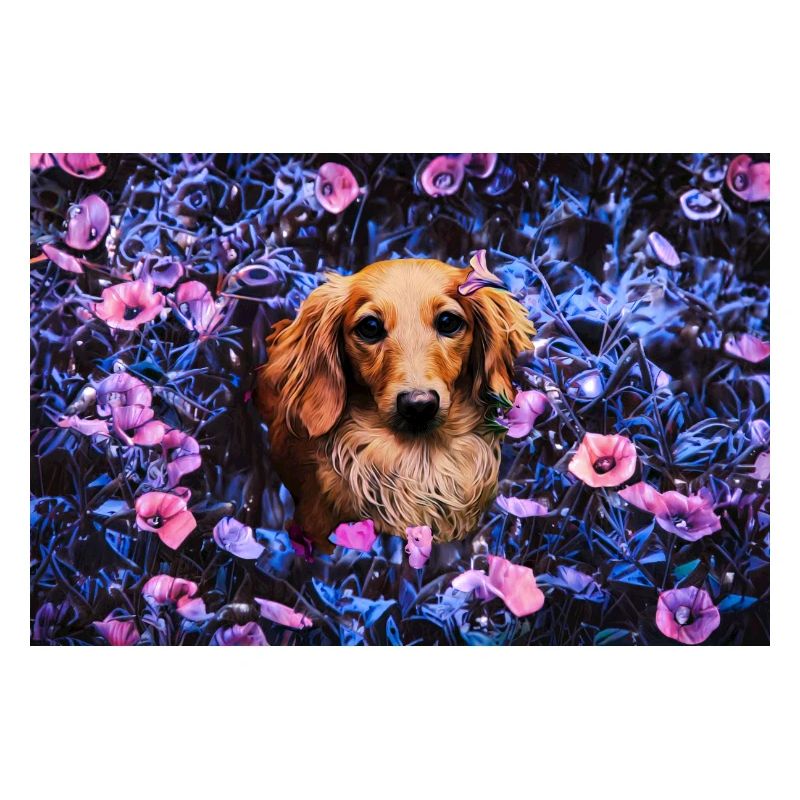 jolie chien perdu dans le jardin de minuit