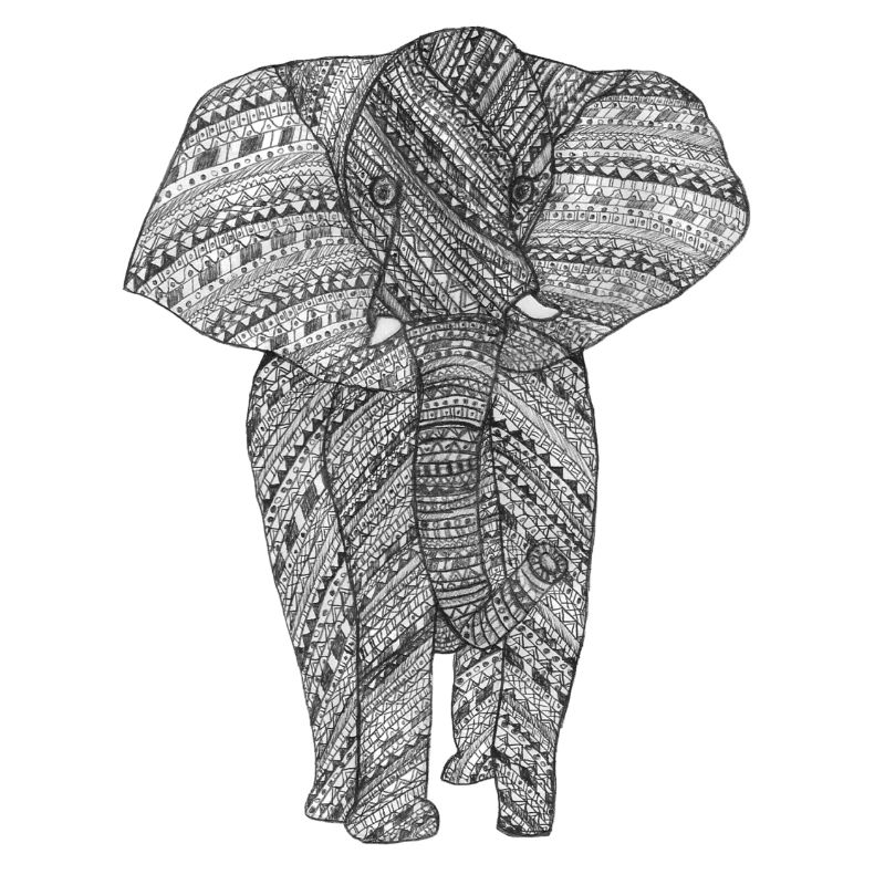 Elephant black and white