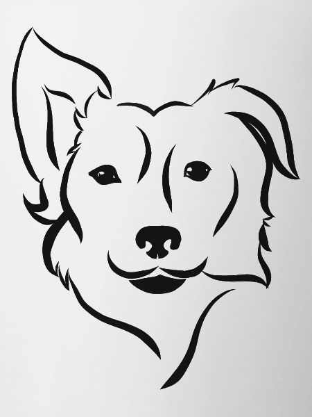 Border collie silhouette