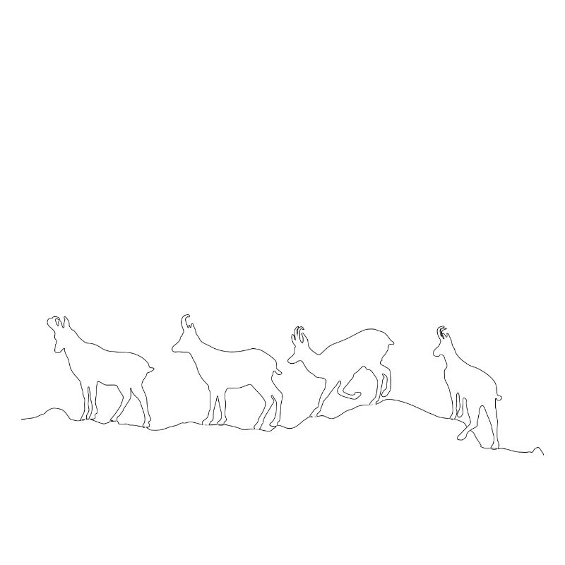 Wild goats