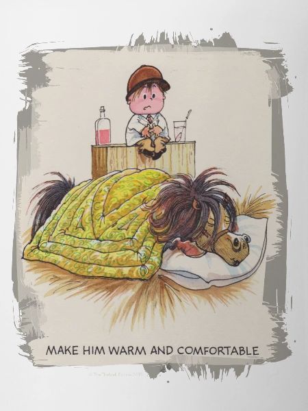Thelwell - Pony sleeping