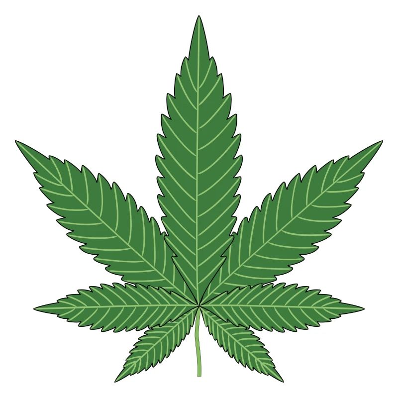 Cannabis Leaf