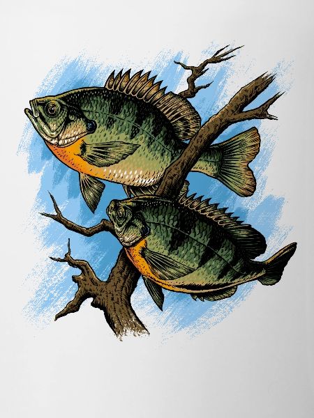 Bluegill Illustration Fishing Pullover design