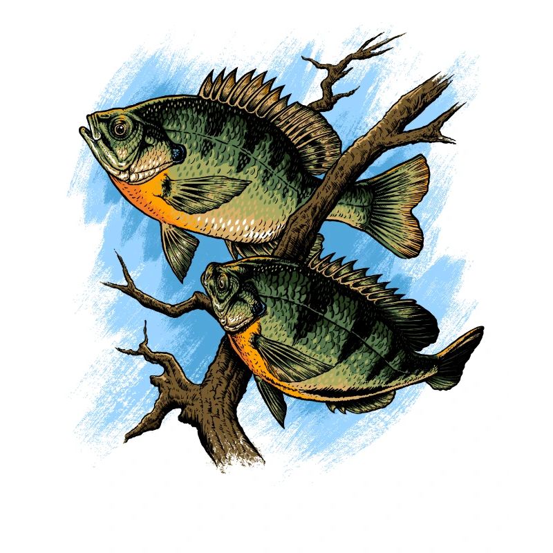 Bluegill Illustration Fishing Pullover design