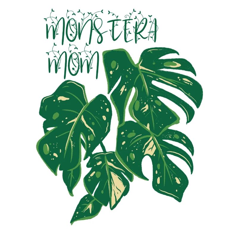 Monstera Maman | Planter
