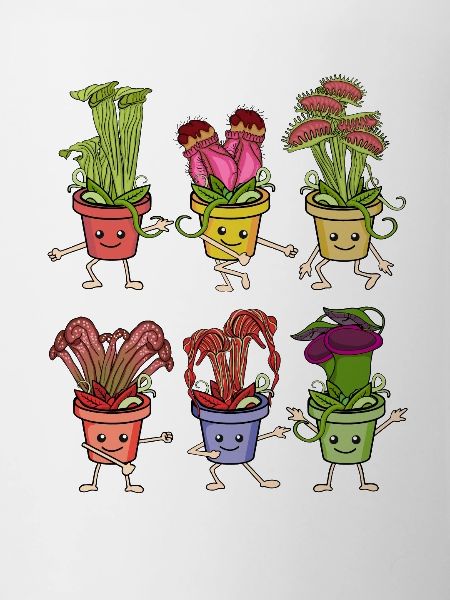 Carnivorous plants Venus flytrap