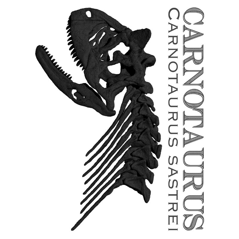 Carnotaurus Schädel black