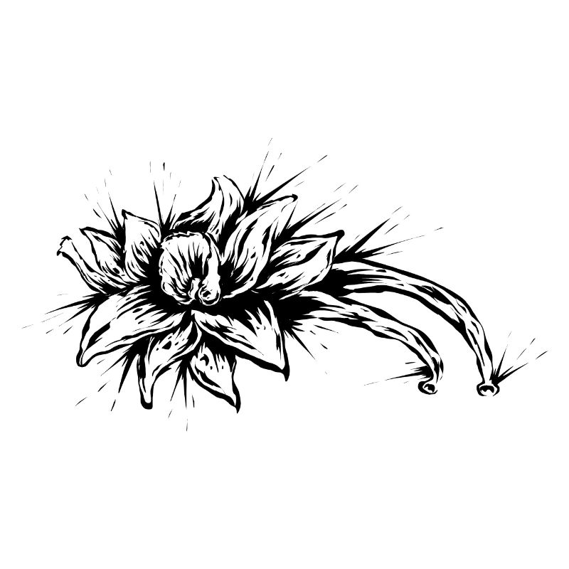 Fleur de vanille