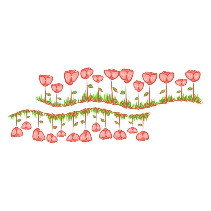 natural line wave grass flowers