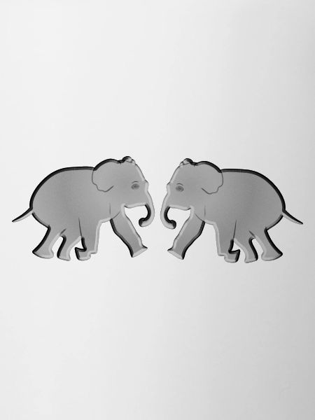 two elephant animals animals