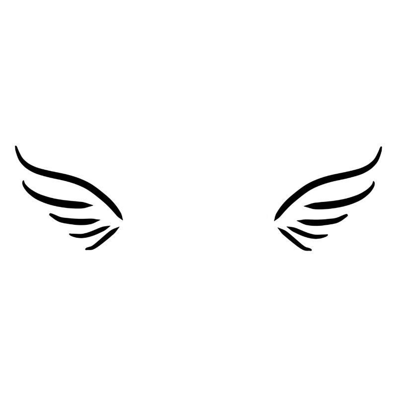 two wing angels fly symbol protect