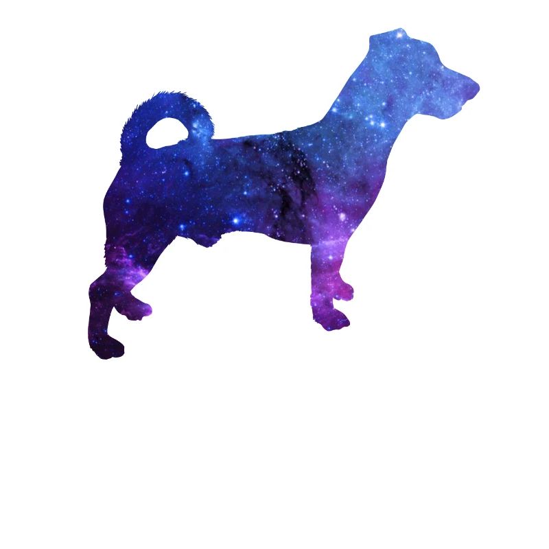 Jack Russel Cadeau pour chien Galaxy