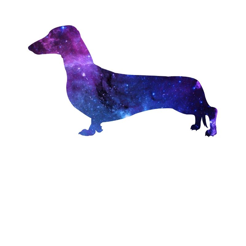 Teckel Galaxy Chien Cadeau