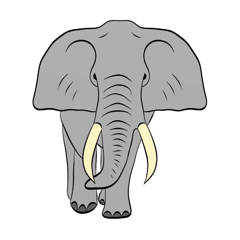 elephant